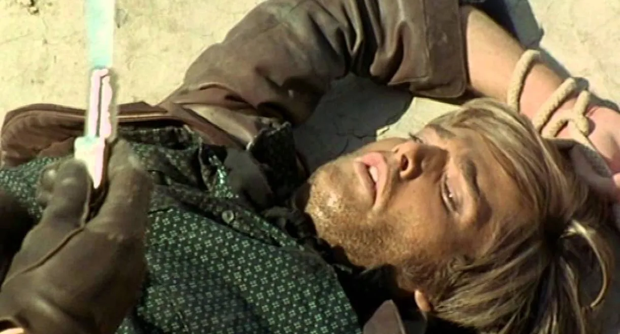 Shoot, Gringo... Shoot!