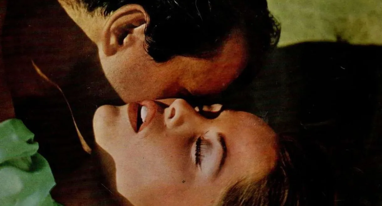 America as Seen by a Frenchman