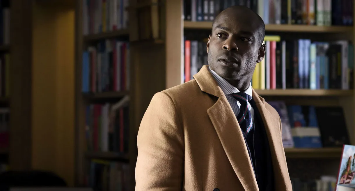 The Return of the Honey Buzzard