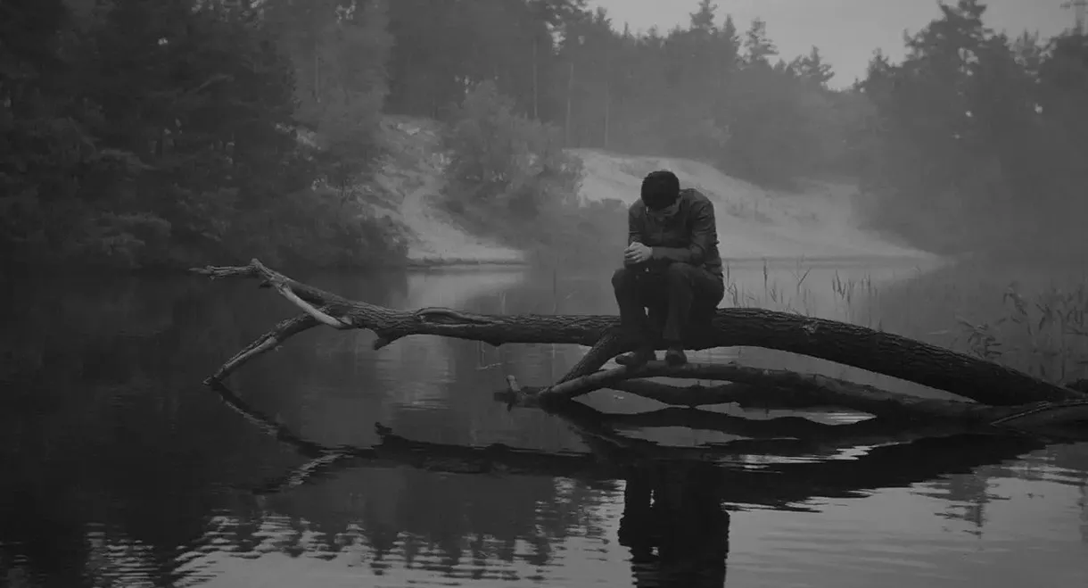 We Are Here. We Are Close