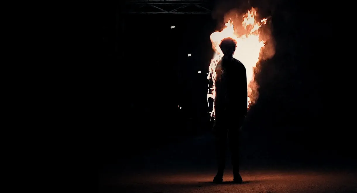 They're Always Watching You