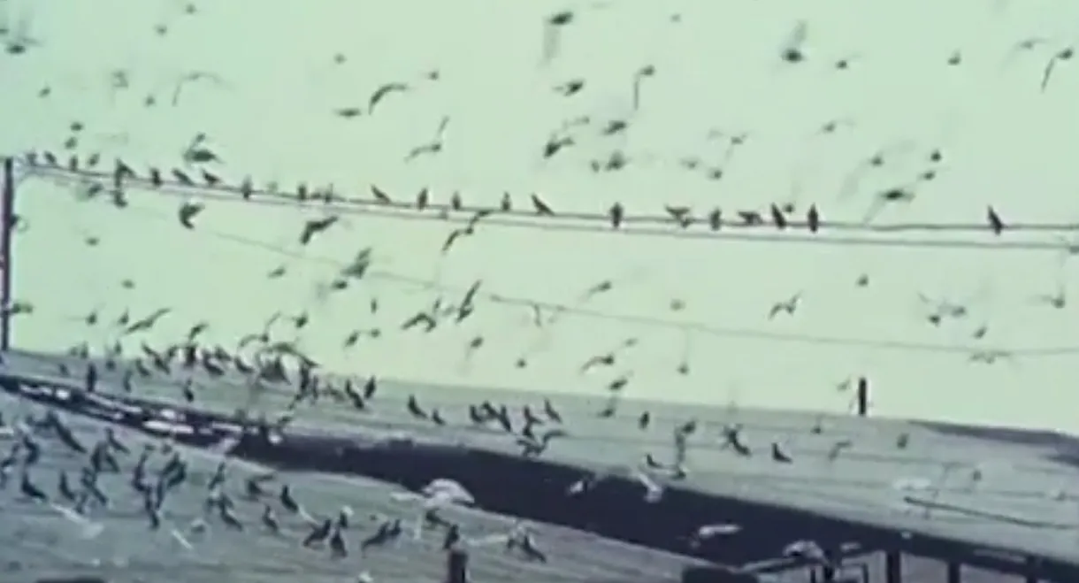 No Names on the Doors