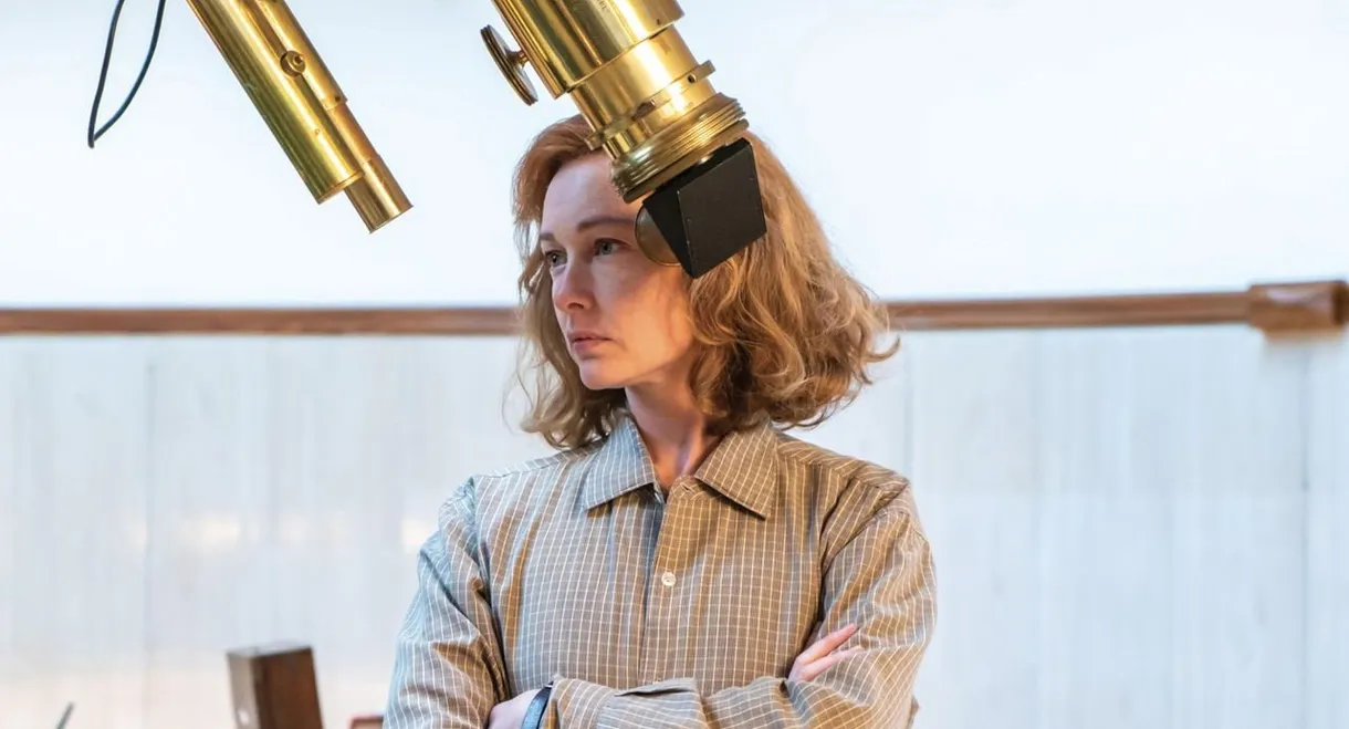 Margherita delle stelle