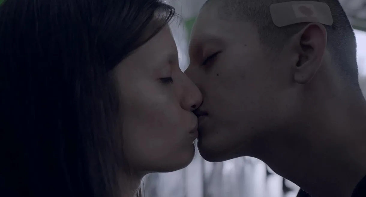 50 or Two Whales Meet at the Beach