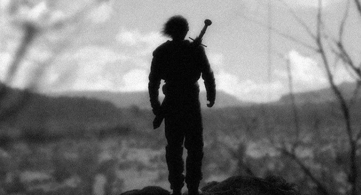 Dragon Ball Z: The Fall of Men