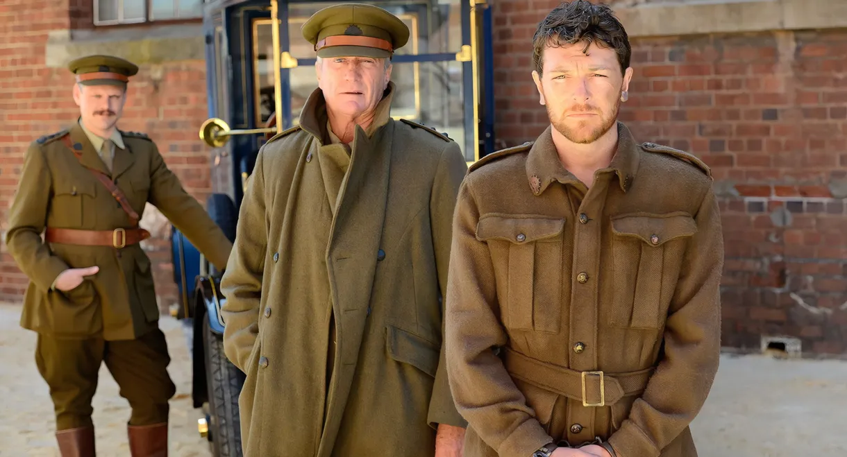 An Accidental Soldier