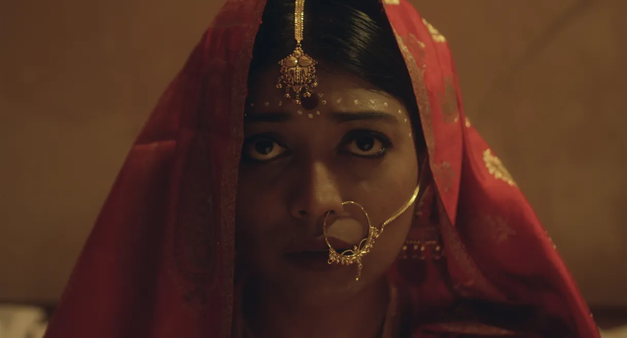 A House Named Shahana