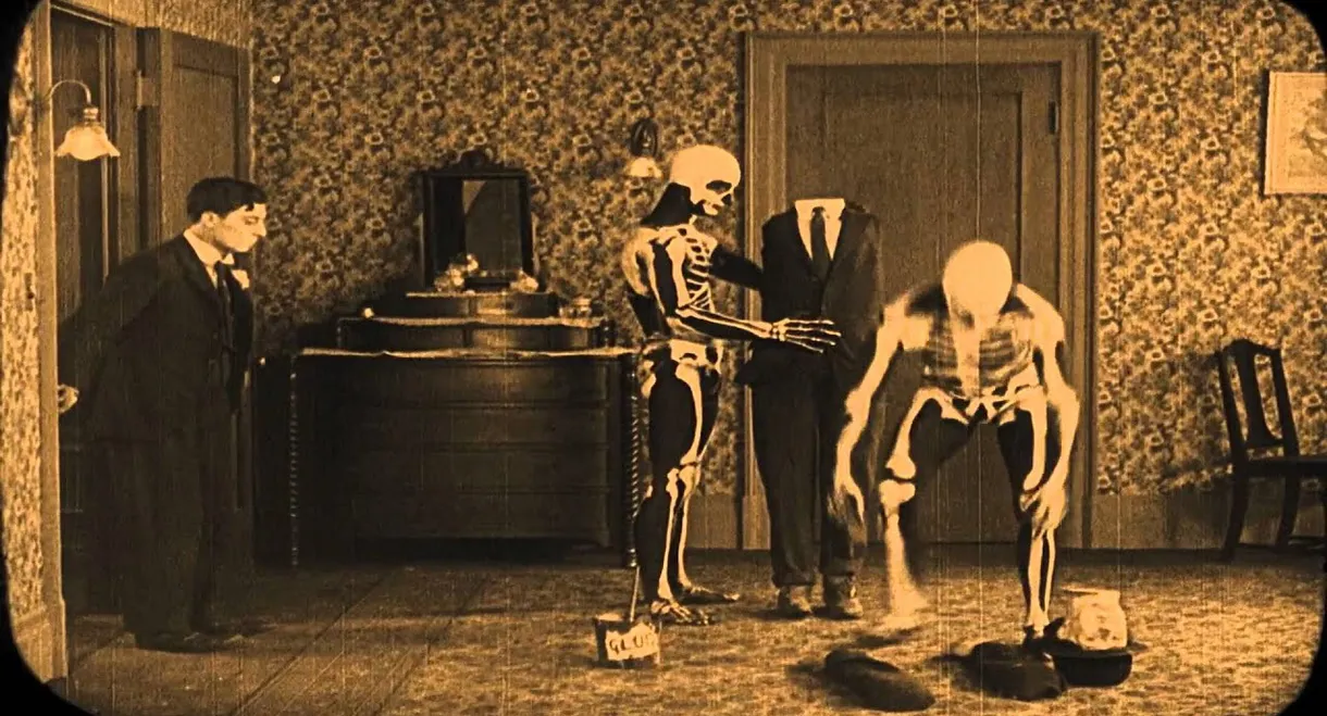 Buster Keaton: The Shorts Collection 1917-1923