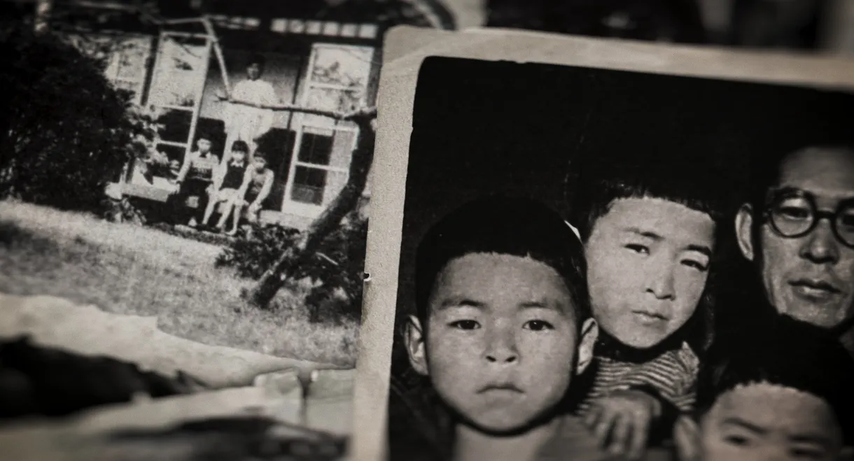 Miyazaki, Spirit of Nature