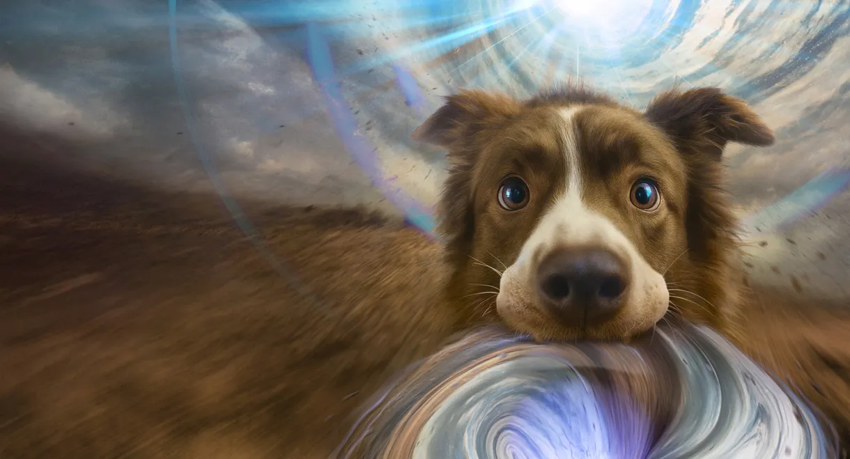 The Dog of Many Tomorrows
