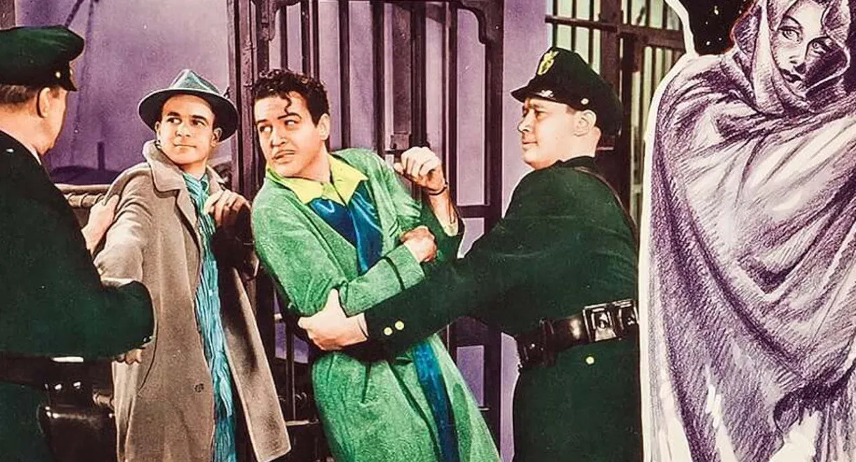 The Mysterious Miss X