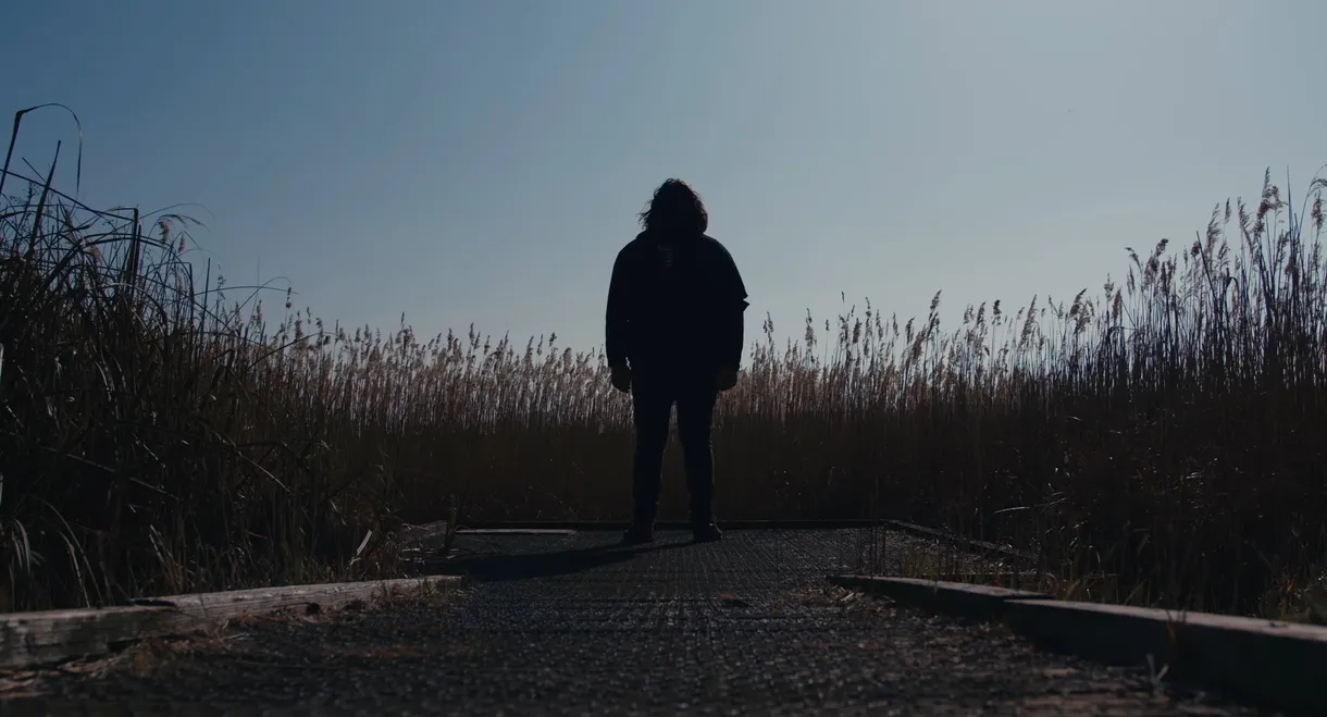 The Caricature: Requiem