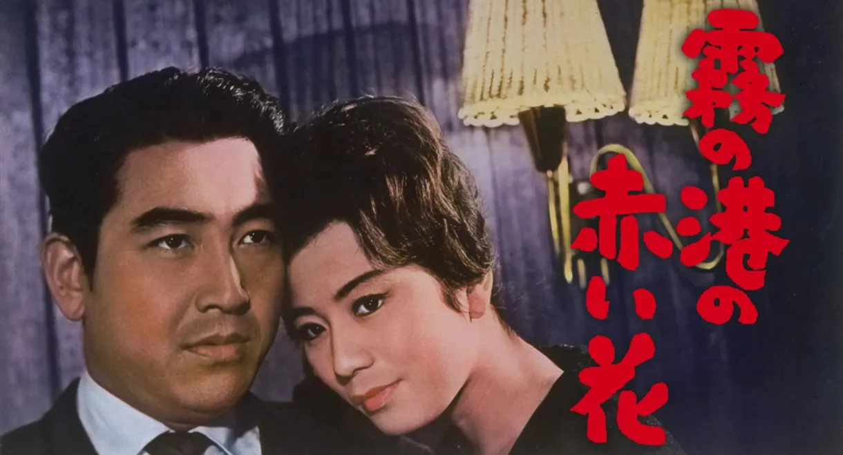 Love at the Fogged Harbor