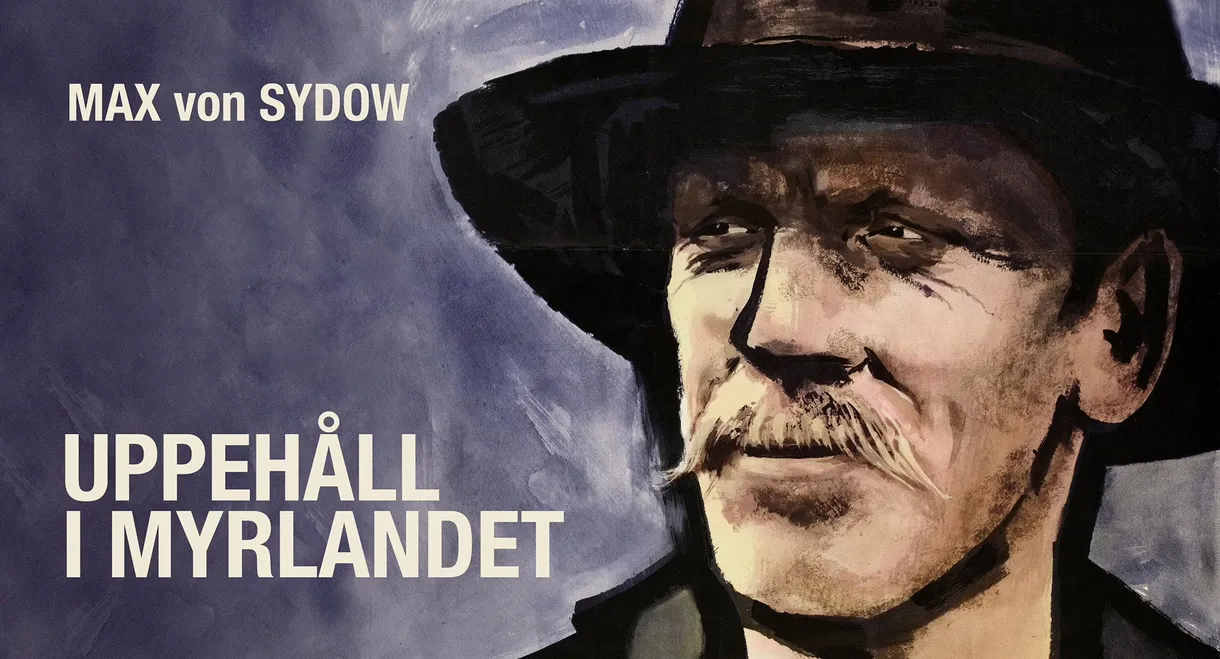 Interlude in the Marshland