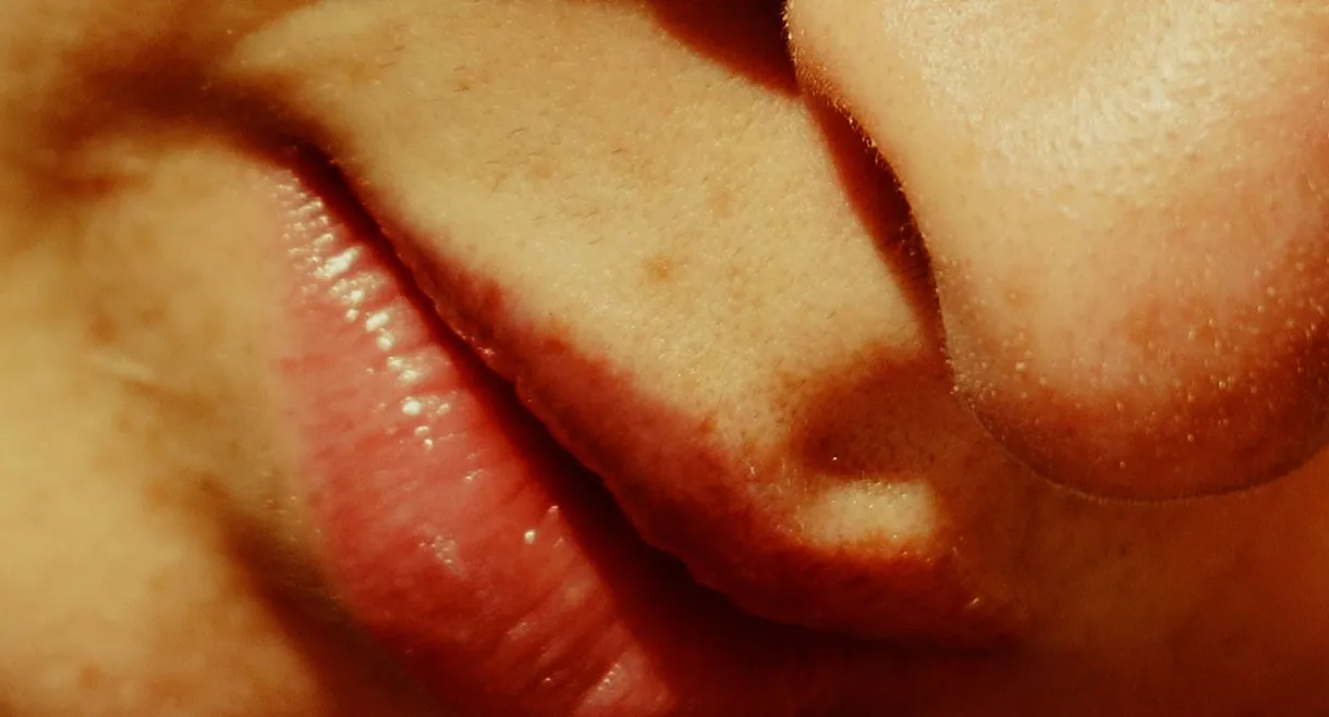 Jardim dos Sentimentos
