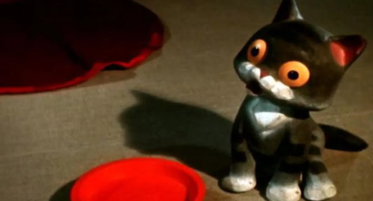 Why Did the Kitten Go Away?