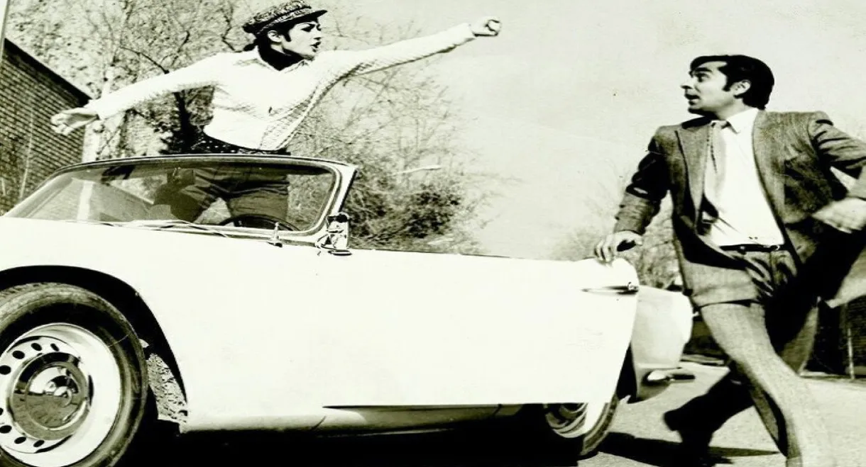 The Wedding Commotion