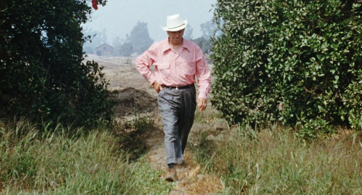 Disneyland Handcrafted