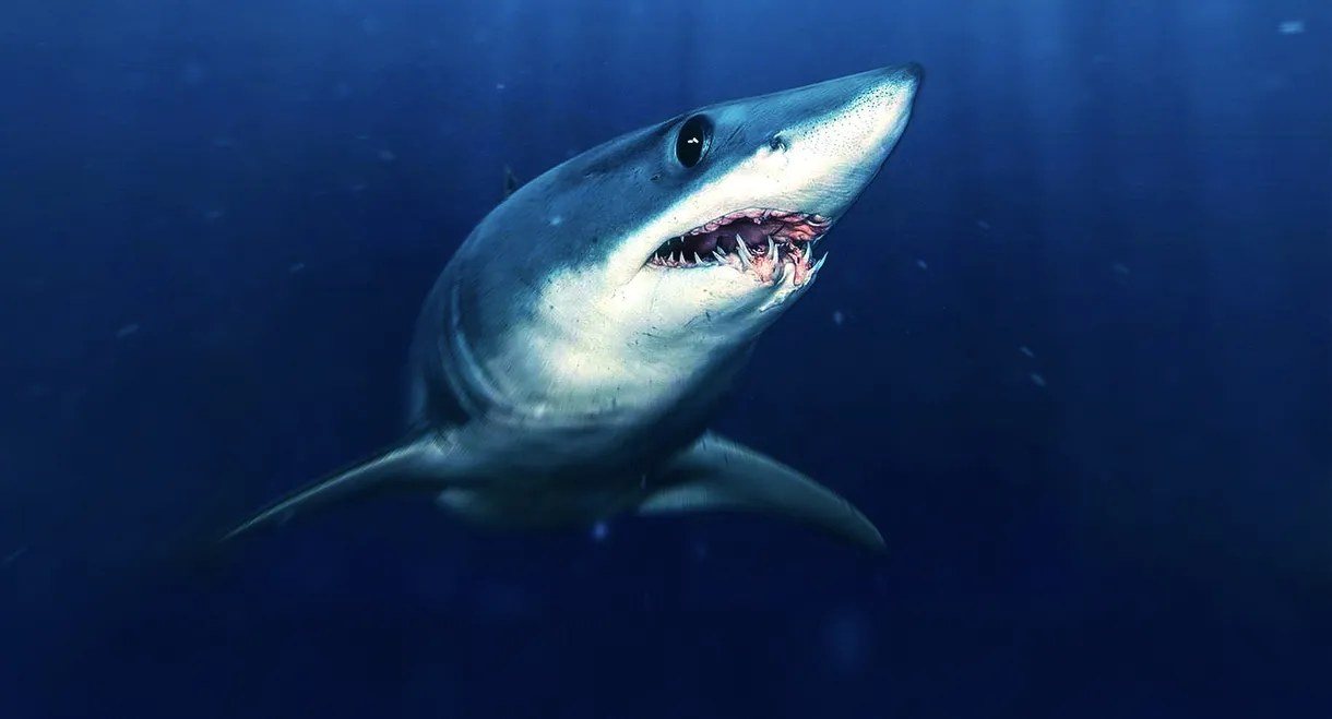 Sharks That Eat Everything