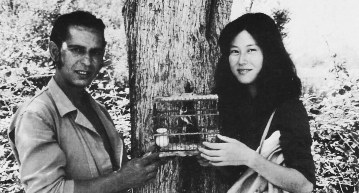 Rainbow of Andalusia