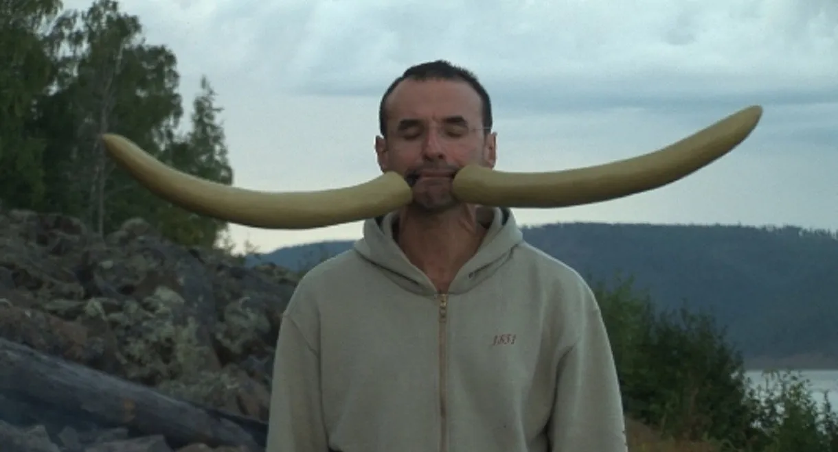 Birmingham Ornament 2