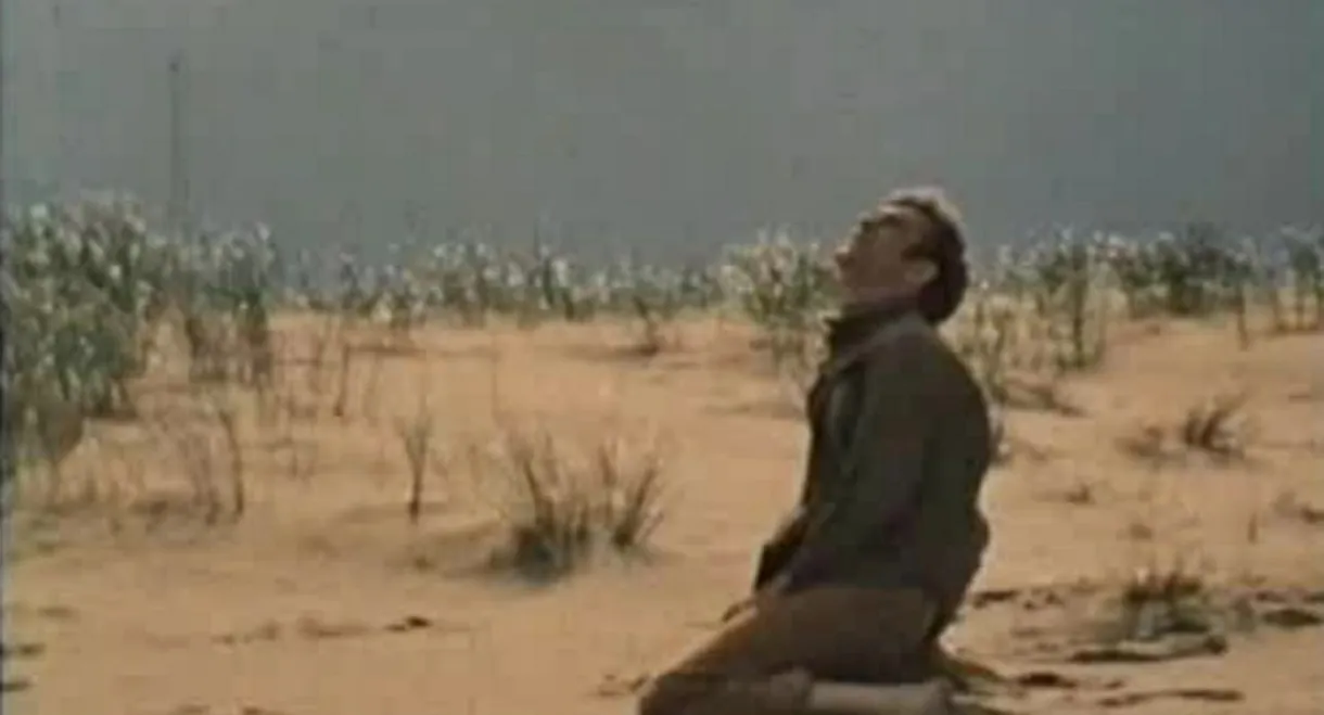 The Monarch Butterfly