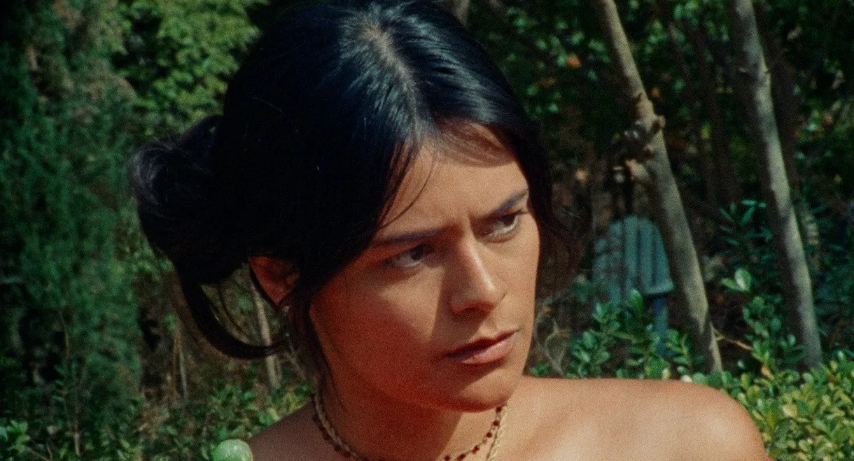 Everyone Loves Björk