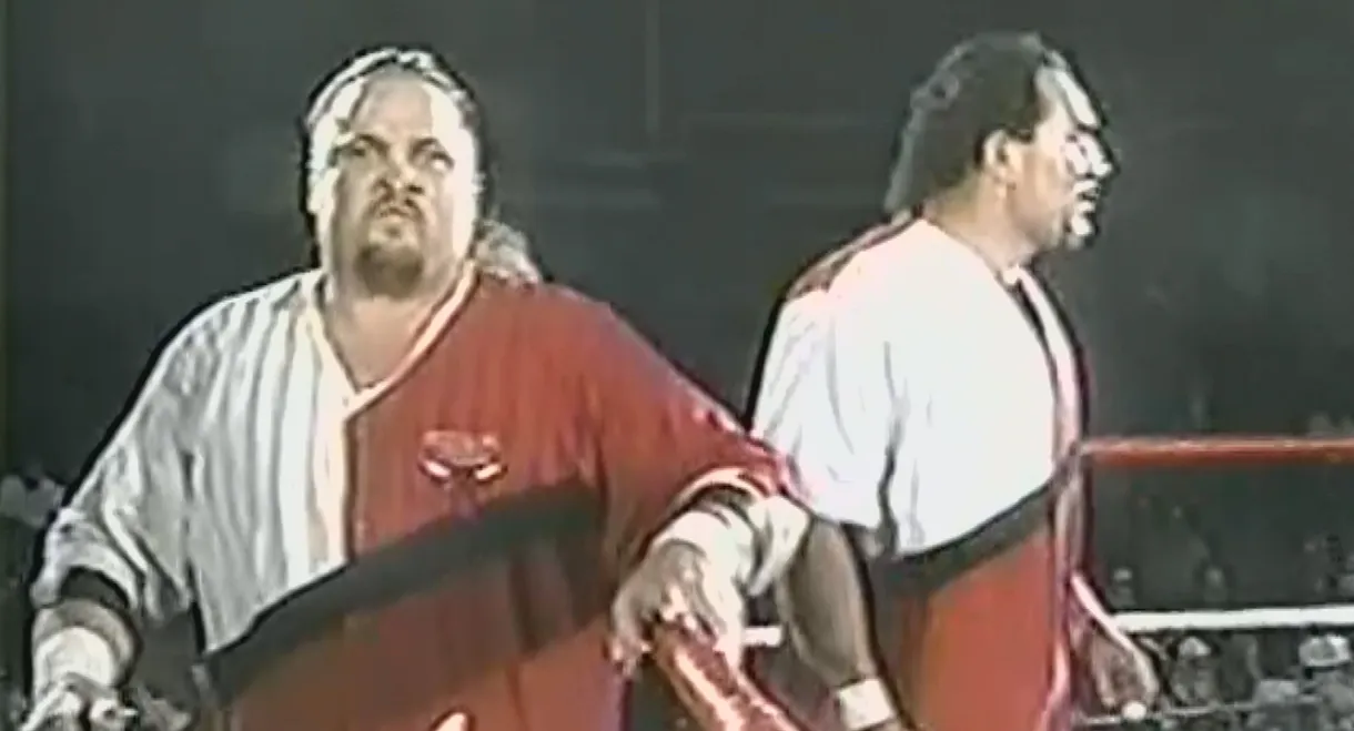 ECW Tag Wars 1994