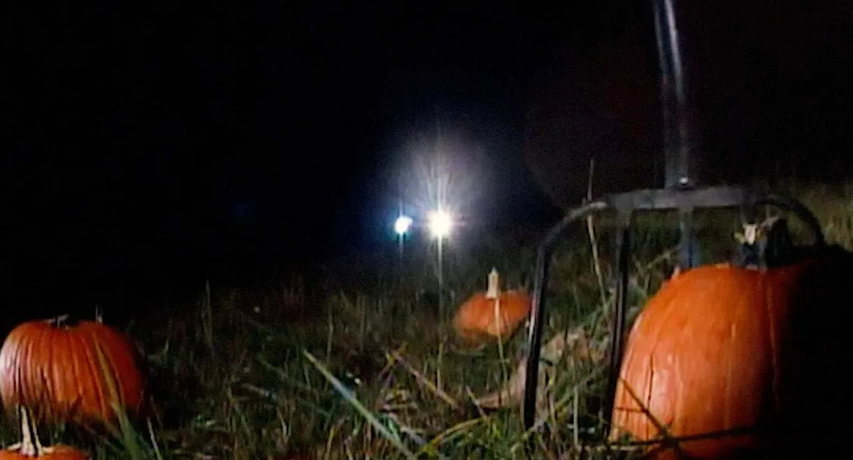 Revenge of the Great Pumpkin