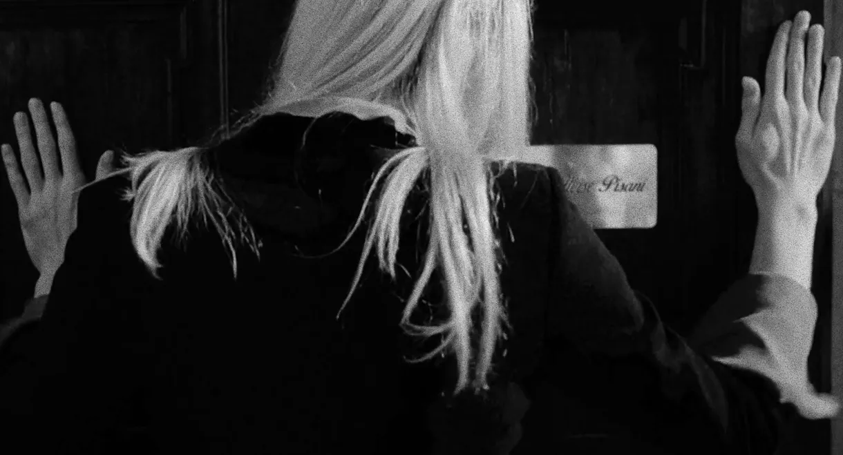 Accept Our Sincere Apologies