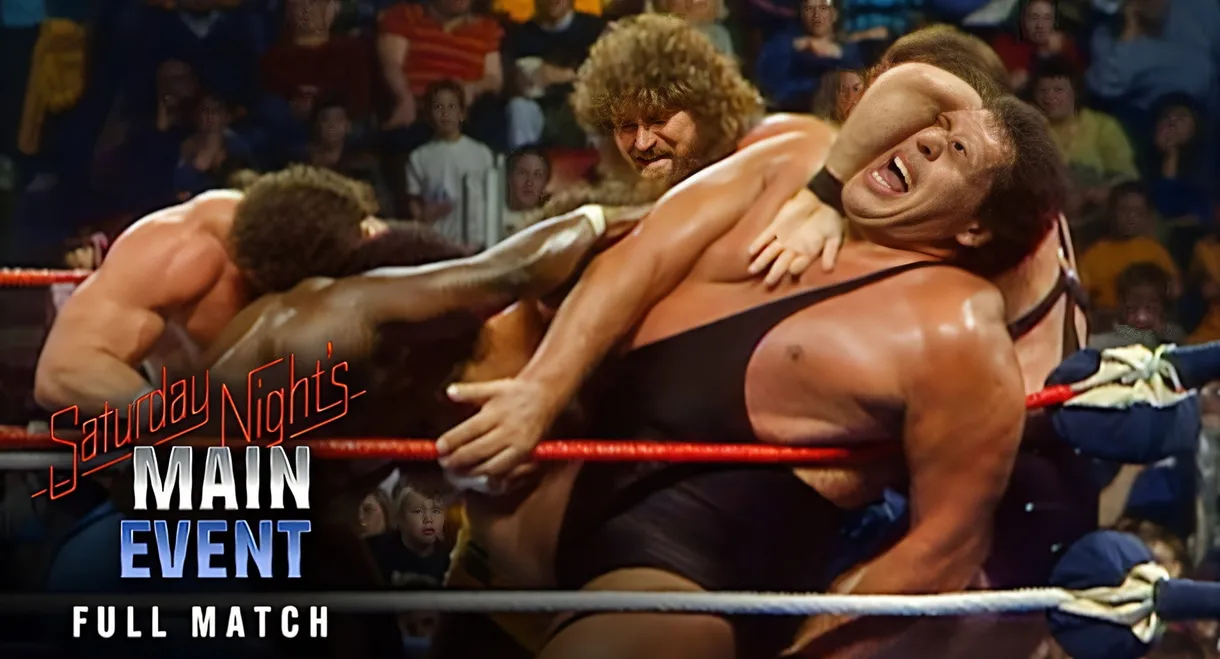WWF 20-Man Battle Royal 1987