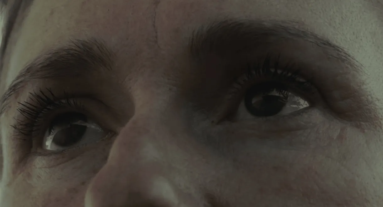 The Border at Tolstoi