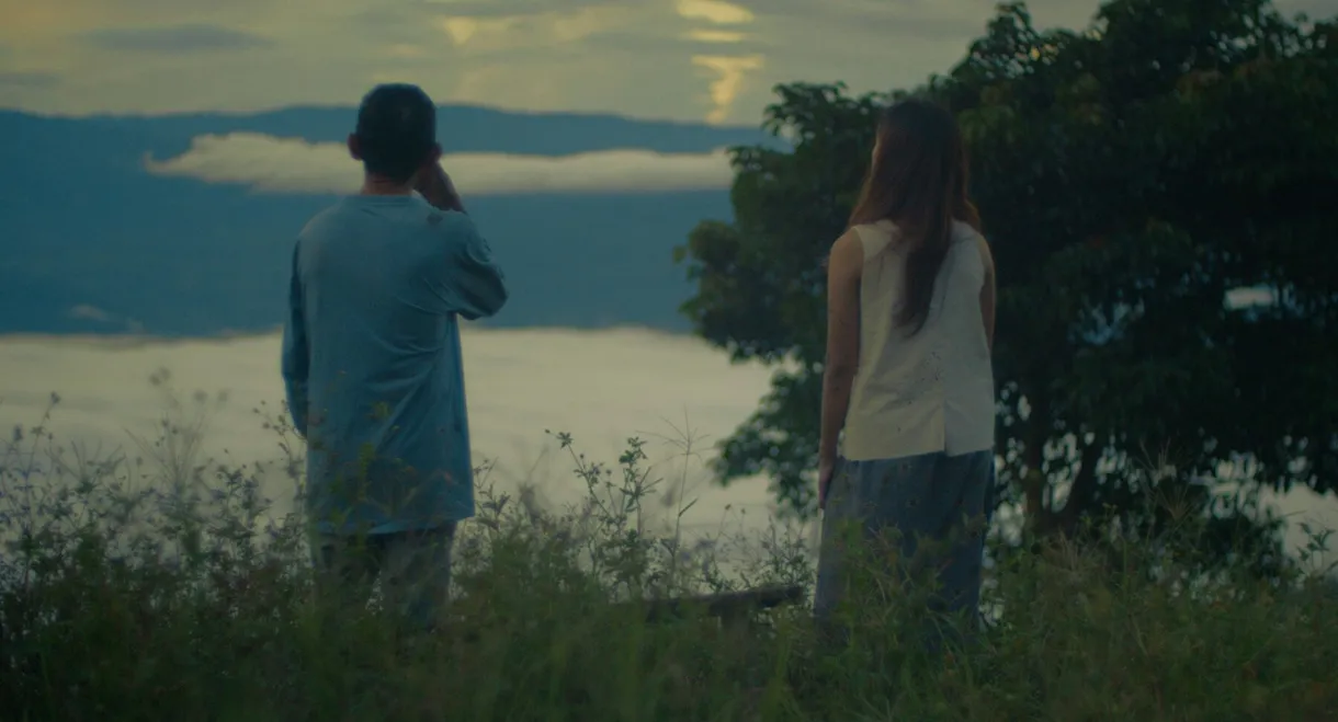 Beneath the Firefly Veil