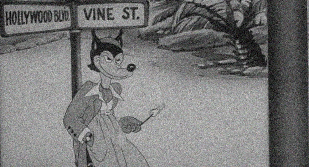 Who's Who in the Zoo