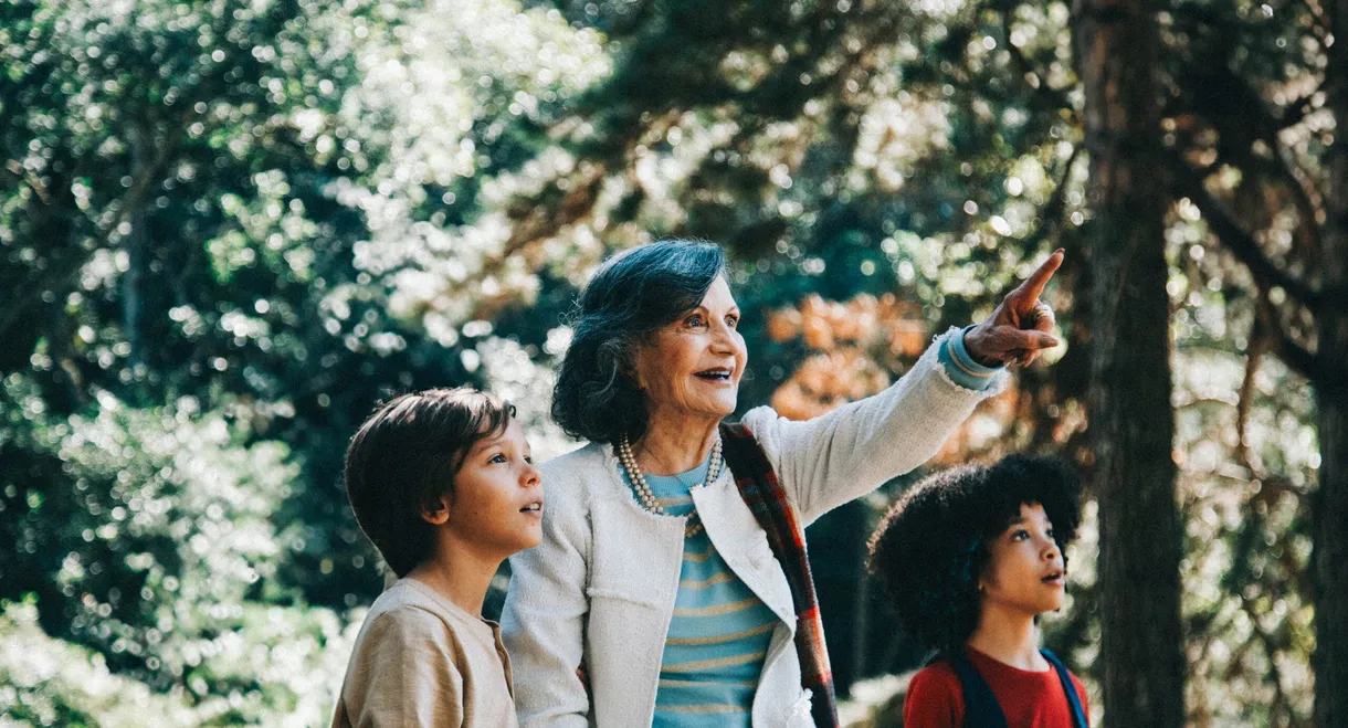 The Taste of the Blackberry