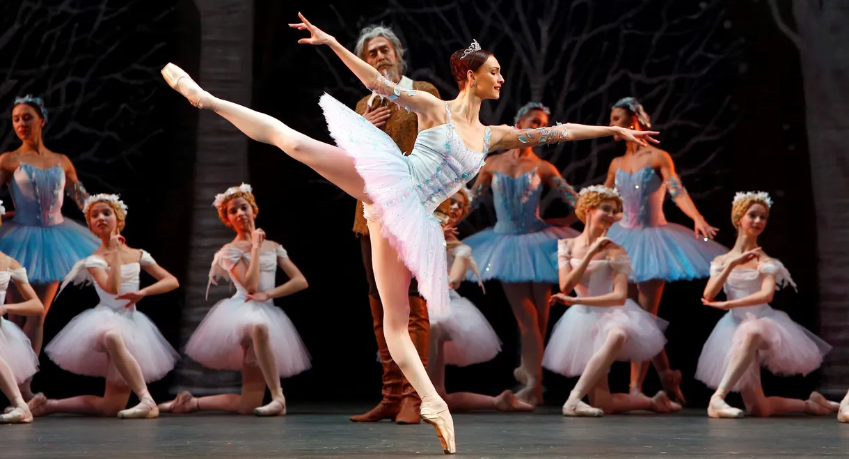 Bolshoi Ballet: Don Quixote