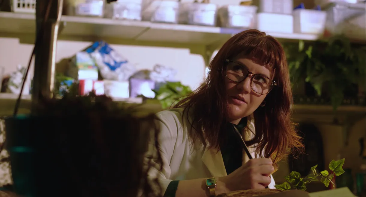 When A Doveweed Blooms