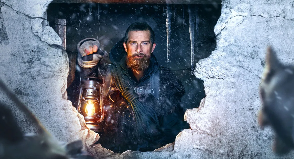 You vs. Wild: Out Cold