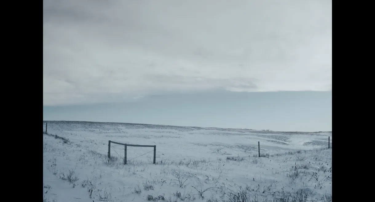 The Electricity In Me