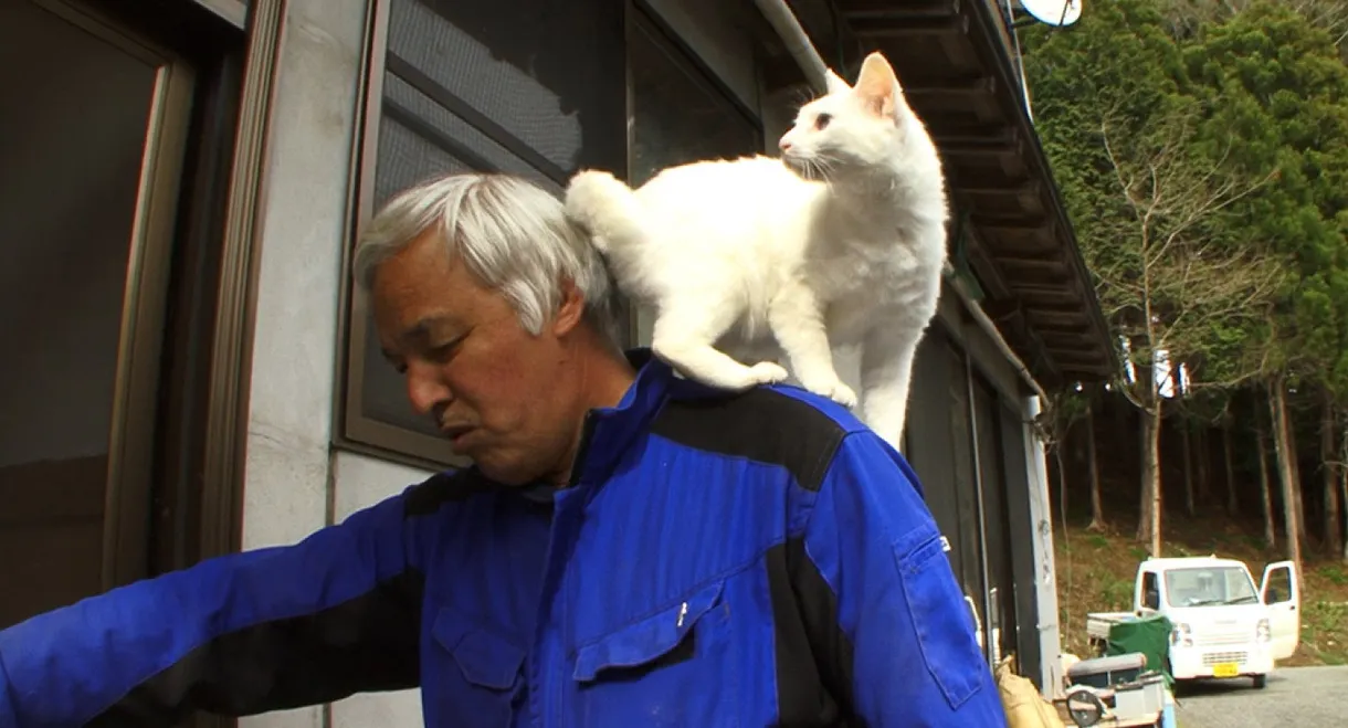 Alone Again in Fukushima