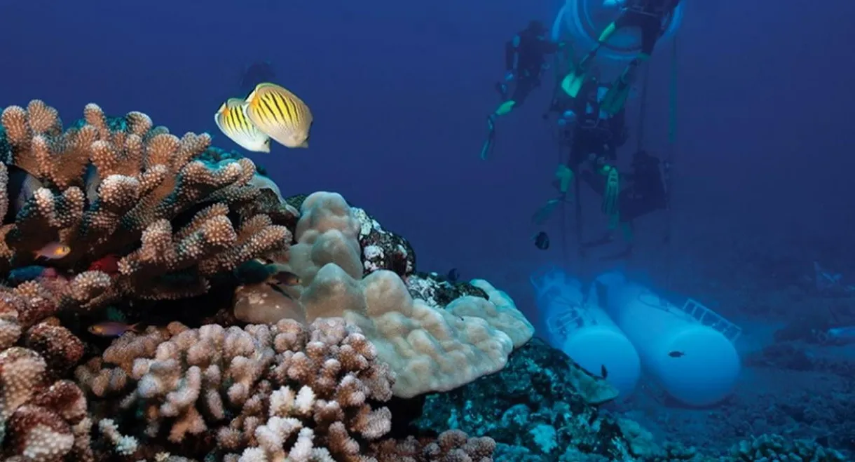 On a dormi sous la mer