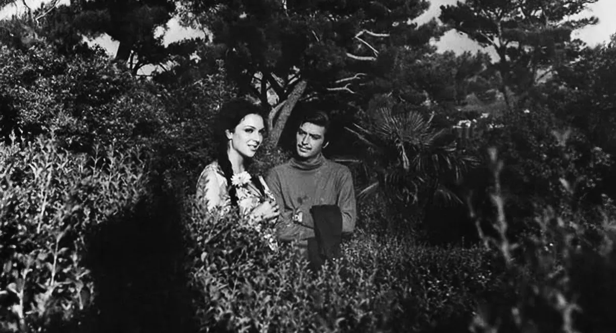 Baharda Solan Çiçek