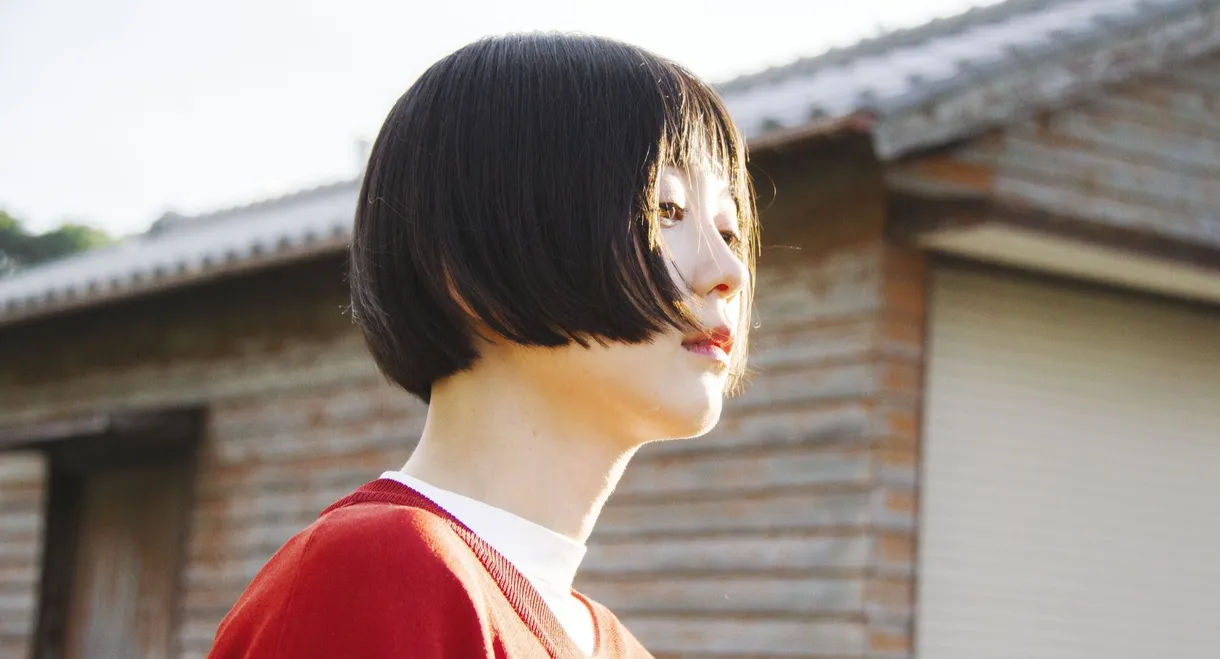 Drifting Flowers, Flowing Days