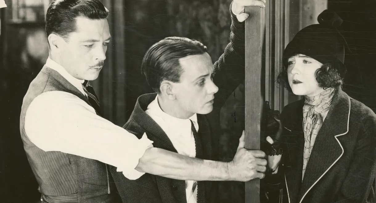 Night Life of New York