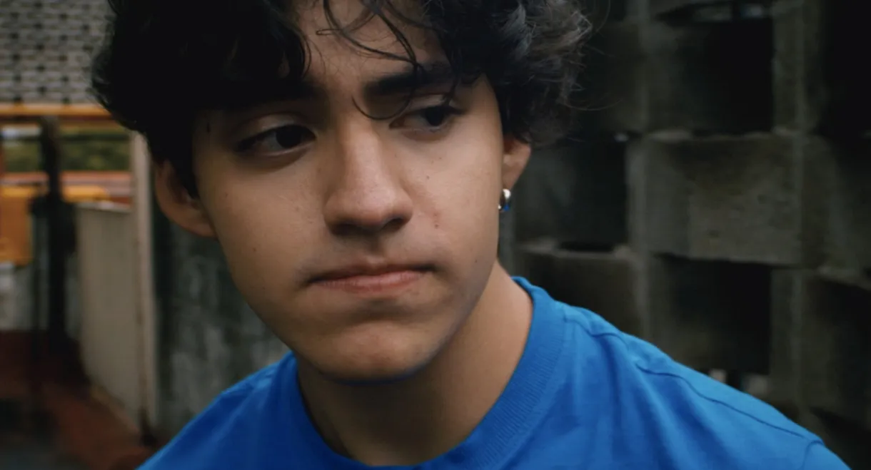 Memory of an Afternoon on the Roof