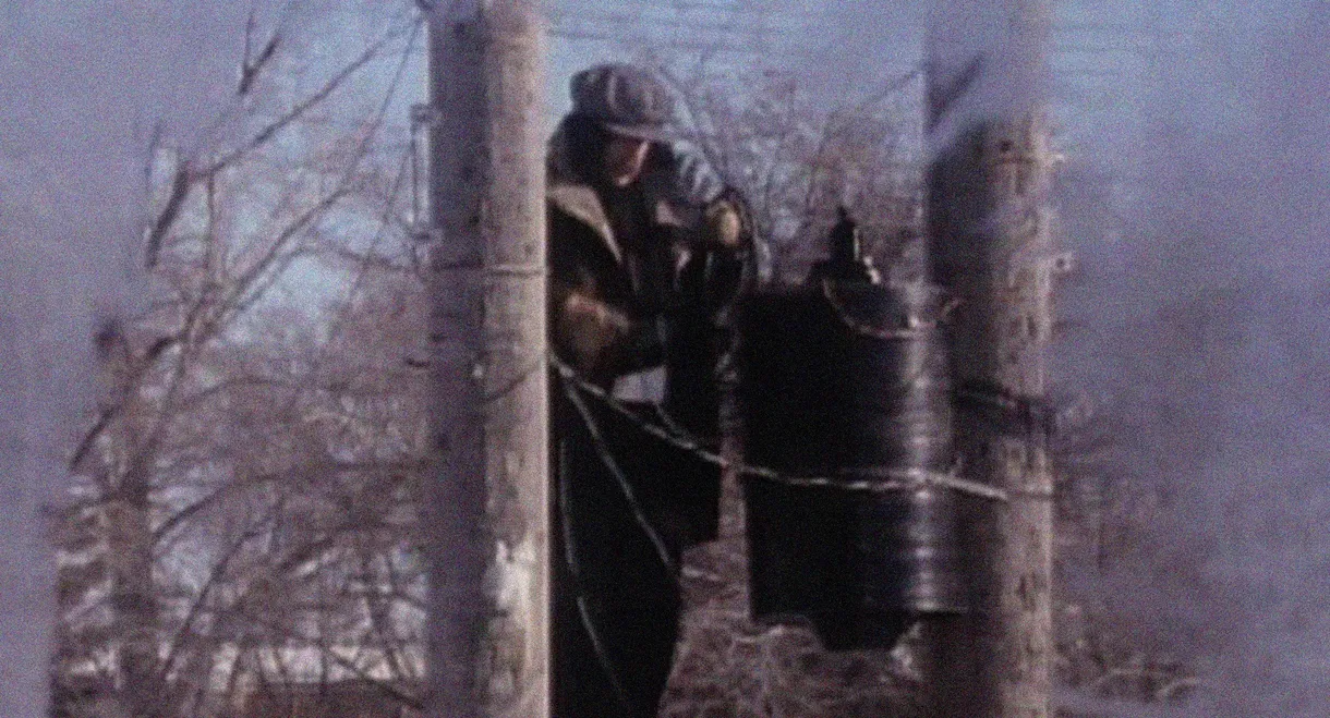 The Great Electrical Revolution