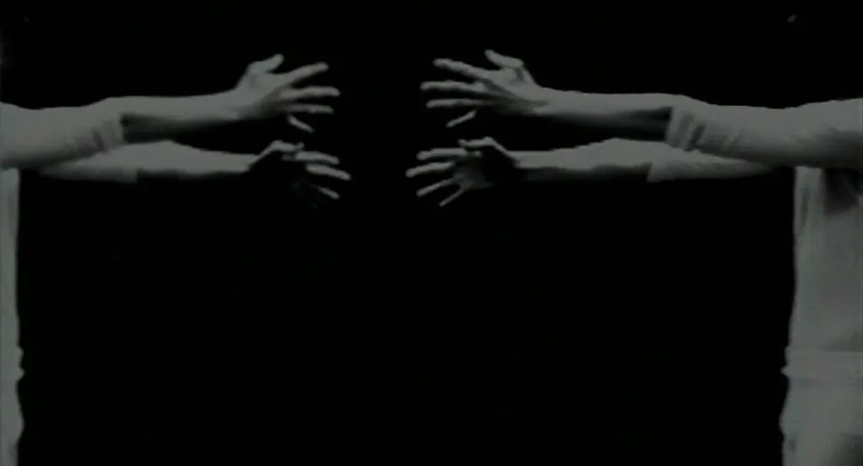 Environmental Symmetry