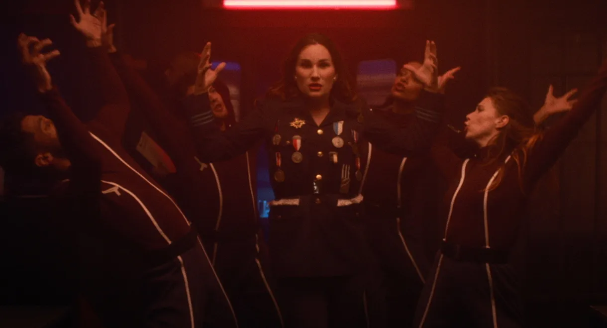 Rose, tulip and petunia