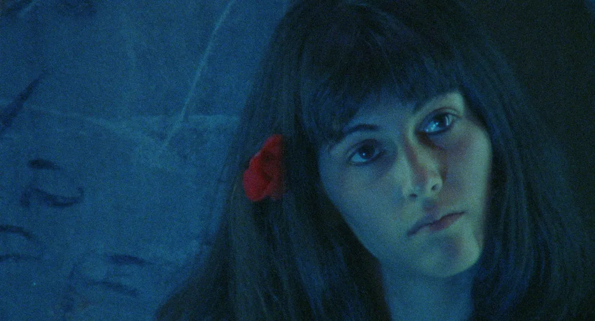 Ein Blick und die Liebe bricht aus