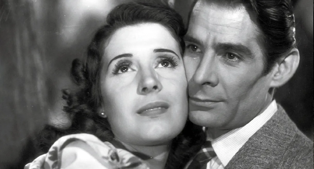 Story of a Single Night